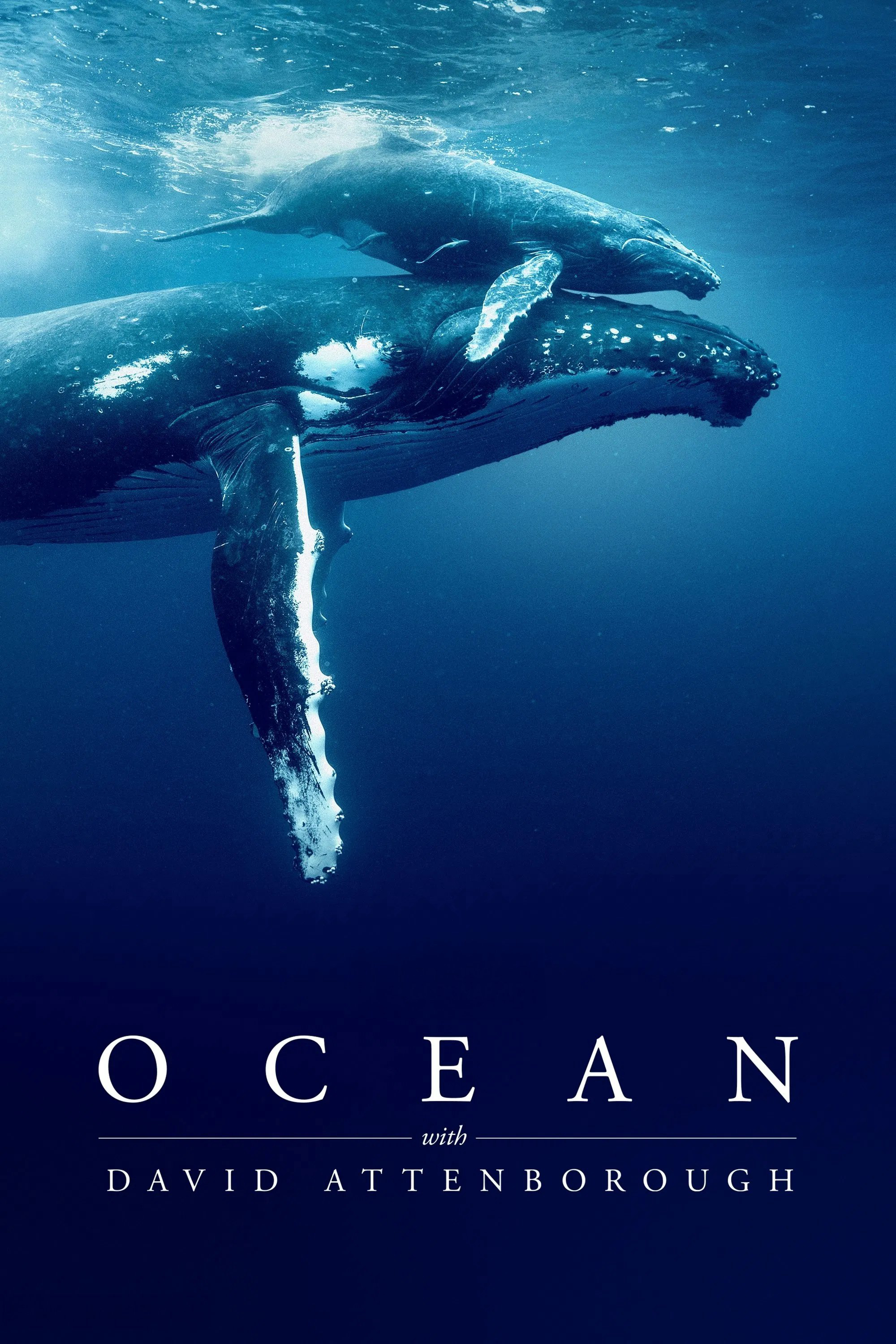 Ocean with David Attenborough